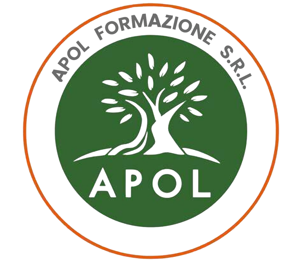 APOL FORMAZIONE S.R.L. logo